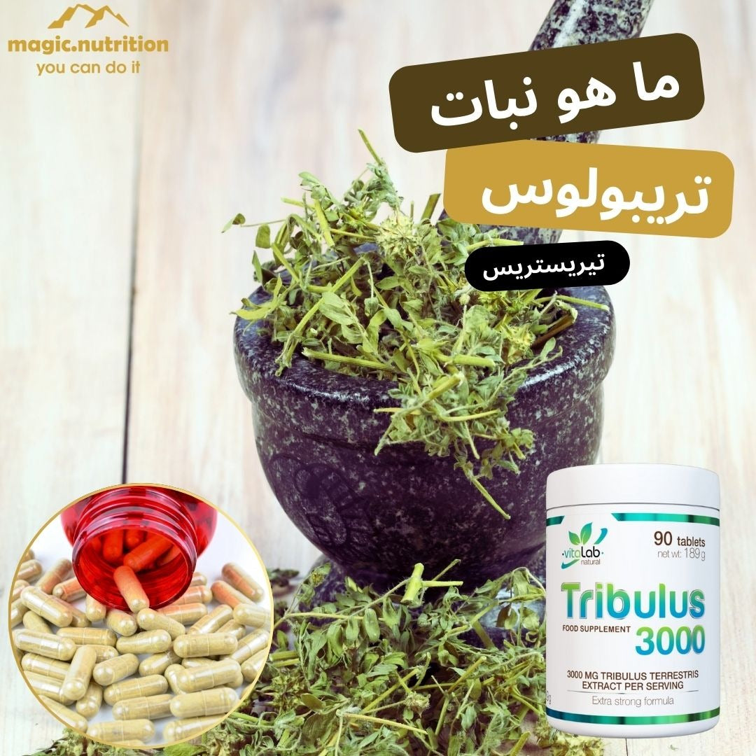tribulus