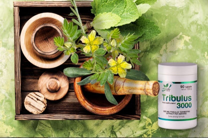 tribulus